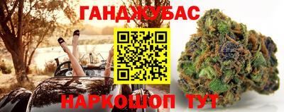 сатива Нальчик