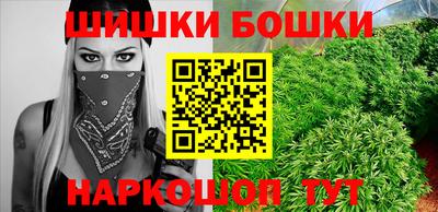 сатива Нальчик