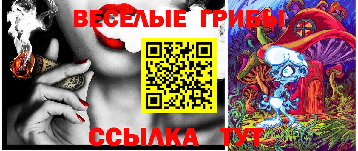 Галлюциногенные грибы Psilocybine cubensis  Вход с VPN  Тула 